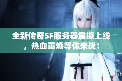 全新传奇SF服务器震撼上线，热血重燃等你来战！
