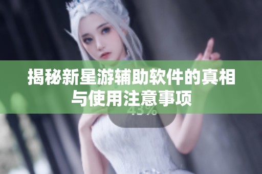 揭秘新星游辅助软件的真相与使用注意事项
