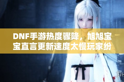 DNF手游热度骤降，旭旭宝宝直言更新速度太慢玩家纷纷流失