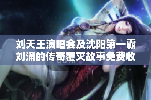 刘天王演唱会及沈阳第一霸刘涌的传奇覆灭故事免费收听完整版