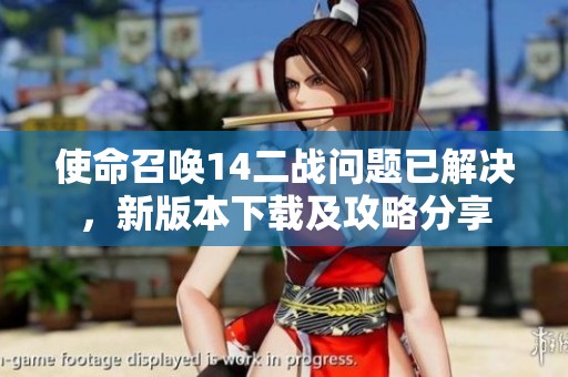 使命召唤14二战问题已解决，新版本下载及攻略分享