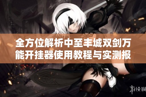 全方位解析中至丰城双剑万能开挂器使用教程与实测报告
