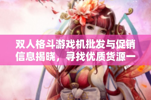双人格斗游戏机批发与促销信息揭晓，寻找优质货源一站解决