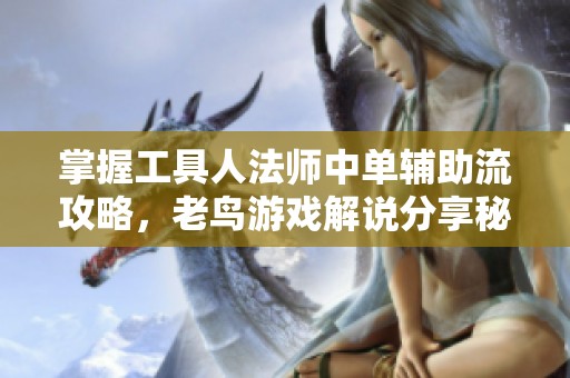 掌握工具人法师中单辅助流攻略，老鸟游戏解说分享秘籍
