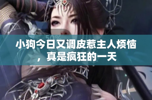 小狗今日又调皮惹主人烦恼，真是疯狂的一天
