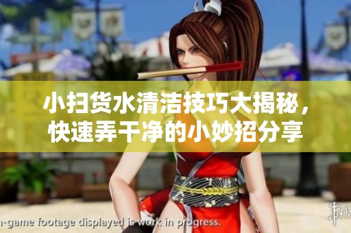 小扫货水清洁技巧大揭秘，快速弄干净的小妙招分享