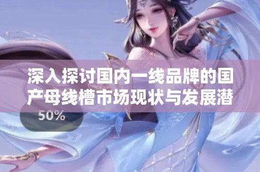 深入探讨国内一线品牌的国产母线槽市场现状与发展潜力
