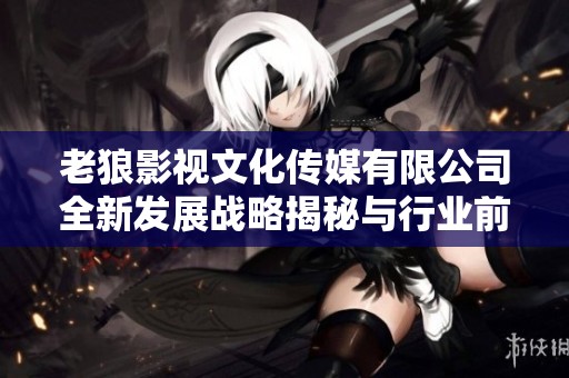 老狼影视文化传媒有限公司全新发展战略揭秘与行业前景分析