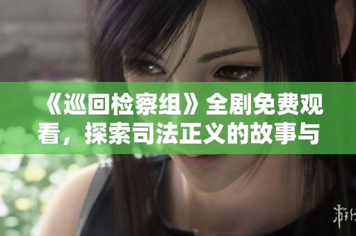 《巡回检察组》全剧免费观看，探索司法正义的故事与启示