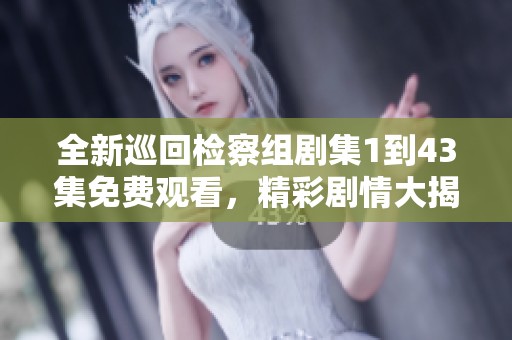 全新巡回检察组剧集1到43集免费观看，精彩剧情大揭秘