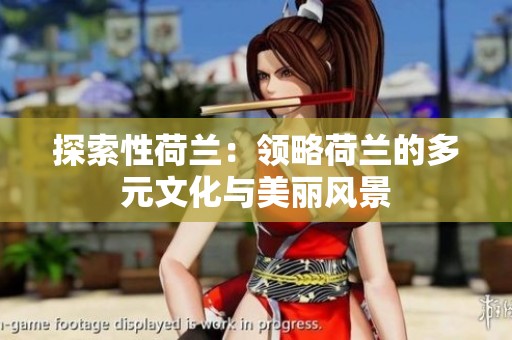 探索性荷兰：领略荷兰的多元文化与美丽风景
