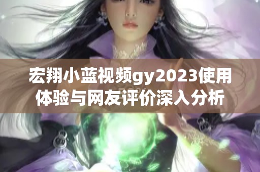 宏翔小蓝视频gy2023使用体验与网友评价深入分析