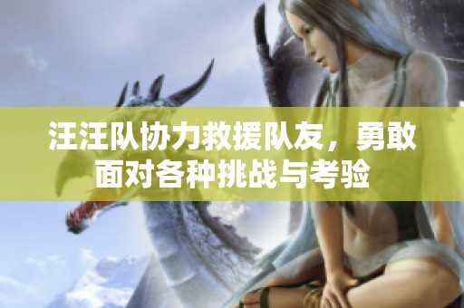 汪汪队协力救援队友，勇敢面对各种挑战与考验