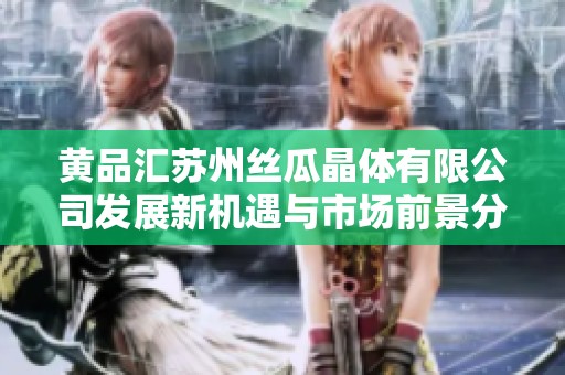 黄品汇苏州丝瓜晶体有限公司发展新机遇与市场前景分析