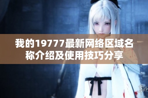 我的19777最新网络区域名称介绍及使用技巧分享