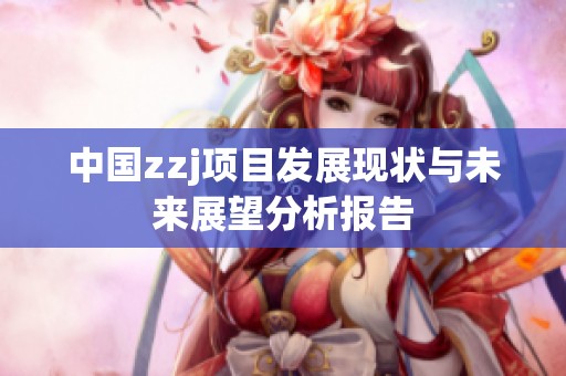 中国zzj项目发展现状与未来展望分析报告