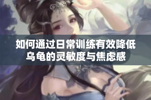 如何通过日常训练有效降低乌龟的灵敏度与焦虑感