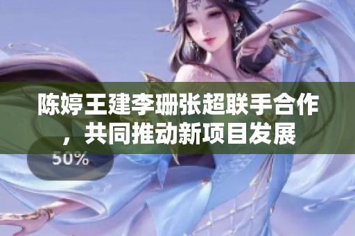 陈婷王建李珊张超联手合作，共同推动新项目发展
