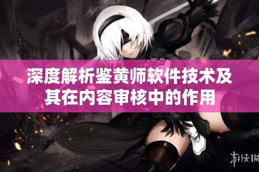 深度解析鉴黄师软件技术及其在内容审核中的作用