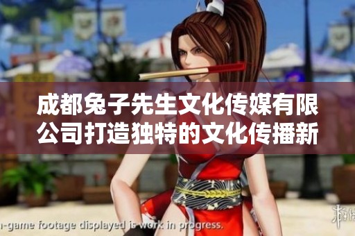 成都兔子先生文化传媒有限公司打造独特的文化传播新模式