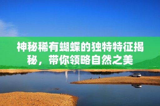 神秘稀有蝴蝶的独特特征揭秘，带你领略自然之美