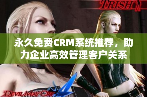 永久免费CRM系统推荐，助力企业高效管理客户关系