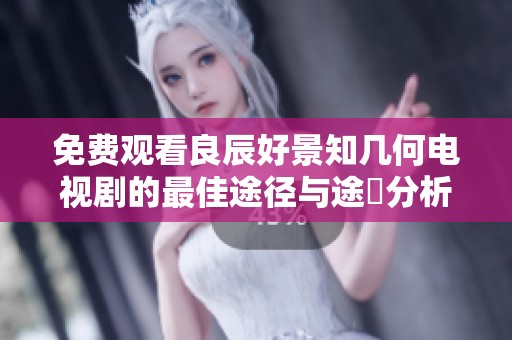 免费观看良辰好景知几何电视剧的最佳途径与途徑分析