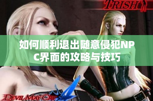 如何顺利退出随意侵犯NPC界面的攻略与技巧