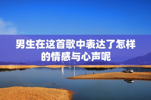 男生在这首歌中表达了怎样的情感与心声呢