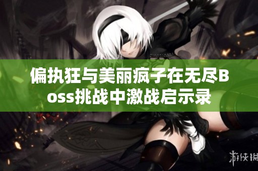 偏执狂与美丽疯子在无尽Boss挑战中激战启示录