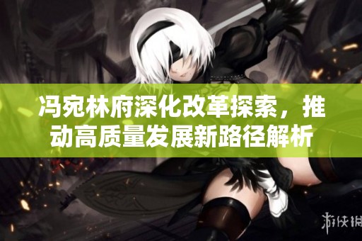 冯宛林府深化改革探索，推动高质量发展新路径解析