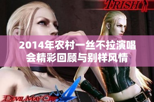2014年农村一丝不拉演唱会精彩回顾与别样风情