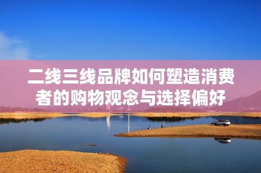 二线三线品牌如何塑造消费者的购物观念与选择偏好