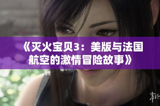 《灭火宝贝3：美版与法国航空的激情冒险故事》