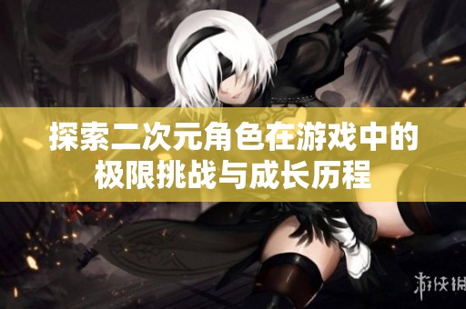 探索二次元角色在游戏中的极限挑战与成长历程