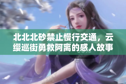 北北北砂禁止慢行交通，云缨巡街勇救阿离的感人故事