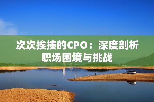 次次挨揍的CPO：深度剖析职场困境与挑战