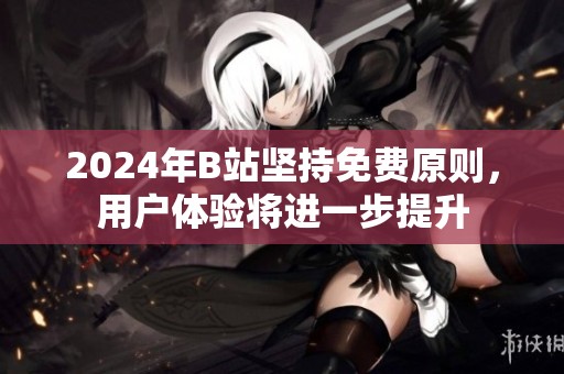 2024年B站坚持免费原则，用户体验将进一步提升