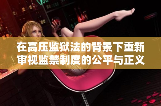 在高压监狱法的背景下重新审视监禁制度的公平与正义