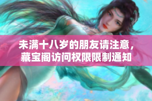 未满十八岁的朋友请注意，藏宝阁访问权限限制通知