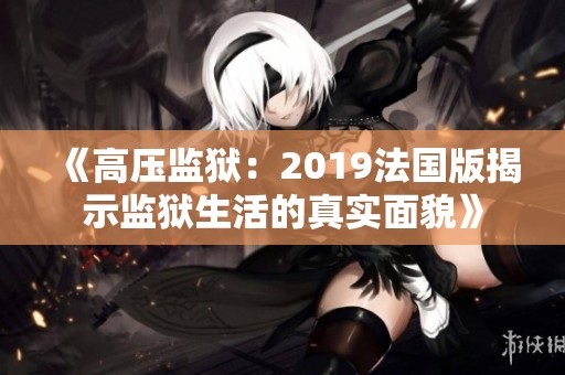 《高压监狱：2019法国版揭示监狱生活的真实面貌》