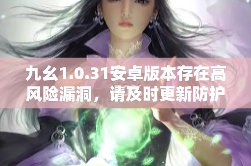 九幺1.0.31安卓版本存在高风险漏洞，请及时更新防护