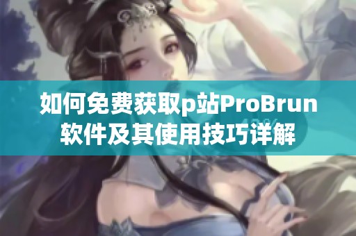 如何免费获取p站ProBrun软件及其使用技巧详解