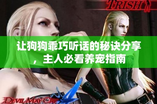 让狗狗乖巧听话的秘诀分享，主人必看养宠指南