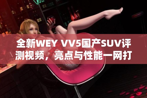 全新WEY VV5国产SUV评测视频，亮点与性能一网打尽