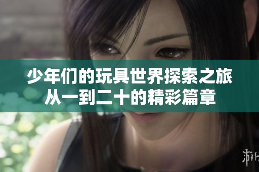 少年们的玩具世界探索之旅从一到二十的精彩篇章
