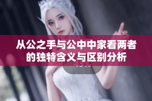 从公之手与公中中家看两者的独特含义与区别分析