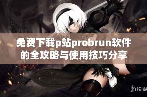 免费下载p站probrun软件的全攻略与使用技巧分享