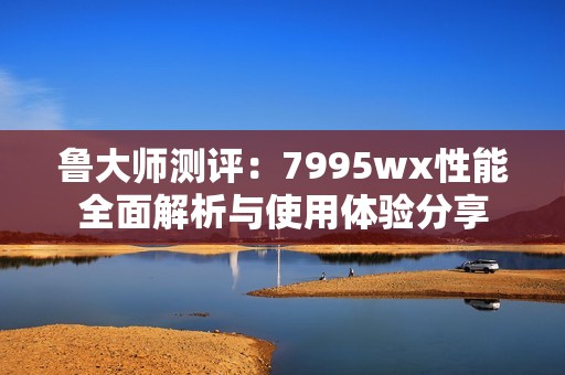 鲁大师测评：7995wx性能全面解析与使用体验分享