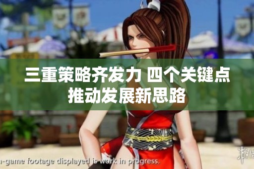 三重策略齐发力 四个关键点推动发展新思路